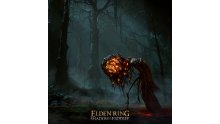 Elden Ring Shadow of the Erdtree Image Teaser02