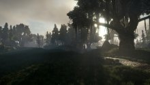 ELEX_Edan-impressions