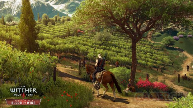 EN The Witcher 3 Wild Hunt Blood and Wine Vineyards vineyards everywhere