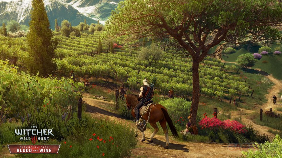 EN-The_Witcher_3_Wild_Hunt_Blood_and_Wine_Vineyards_vineyards_everywhere