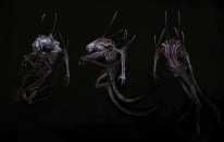 evolve wraith traqueur  (2)