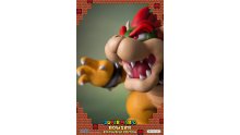 F4F Super Mario Bowser Exclusive (54)