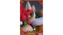 F4F Super Mario Bowser Exclusive (59)