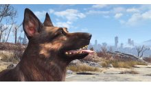 Fallout 4 chien dogmeat
