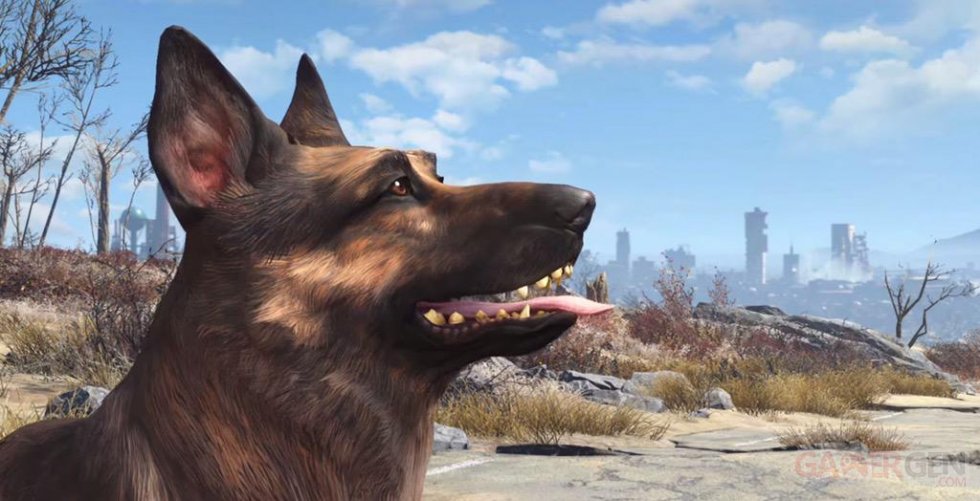 Fallout 4 chien dogmeat