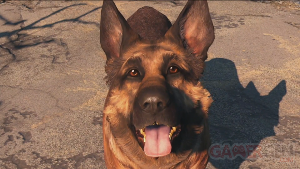 Fallout Dogmeat