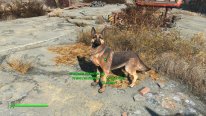 Fallout4 2015 11 03 16 10 04 28