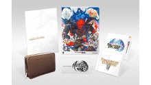 Final-Fantasy-Explorers_25-08-2014_Ultimate-Box-1