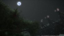 Final Fantasy XIV 14 Stormblood screenshot 01 14 10 2016