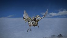 Final-Fantasy-XIV_27-05-2016_screenshot-Revenge-of-the-Horde (16)