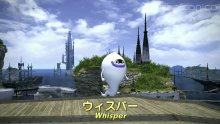Final-Fantasy-XIV_29-04-2016_pic-YW-cross-over (4)