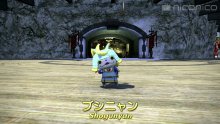 Final-Fantasy-XIV_29-04-2016_pic-YW-cross-over (5)