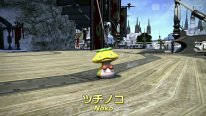 Final Fantasy XIV 29 04 2016 pic YW cross over (8)
