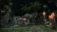 Final Fantasy XIV A Realm Reborn 12.02.2014  (21)