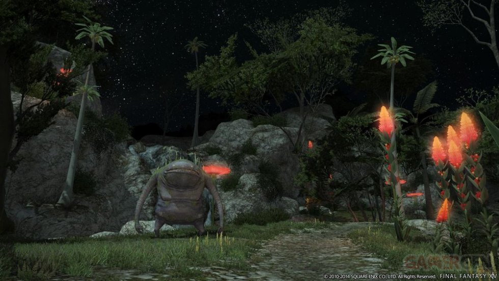 Final Fantasy XIV A Realm Reborn 12.02.2014  (21)