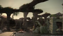 Final Fantasy XIV A Realm Reborn 12.02.2014  (22)