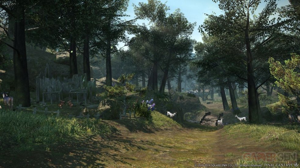 Final Fantasy XIV A Realm Reborn 12.02.2014  (23)