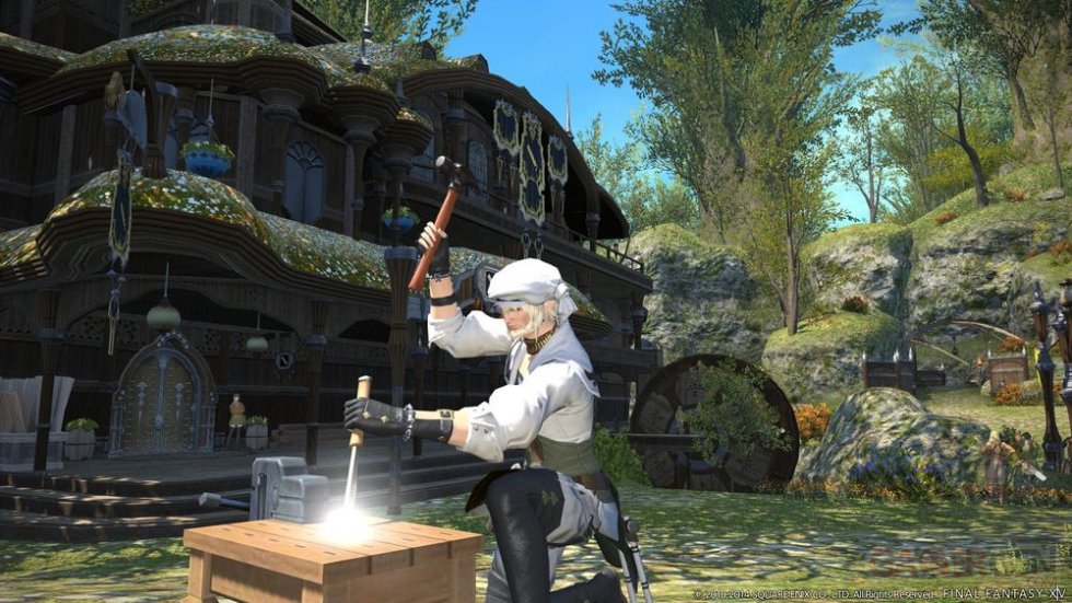 Final Fantasy XIV A Realm Reborn 12.02.2014  (33)