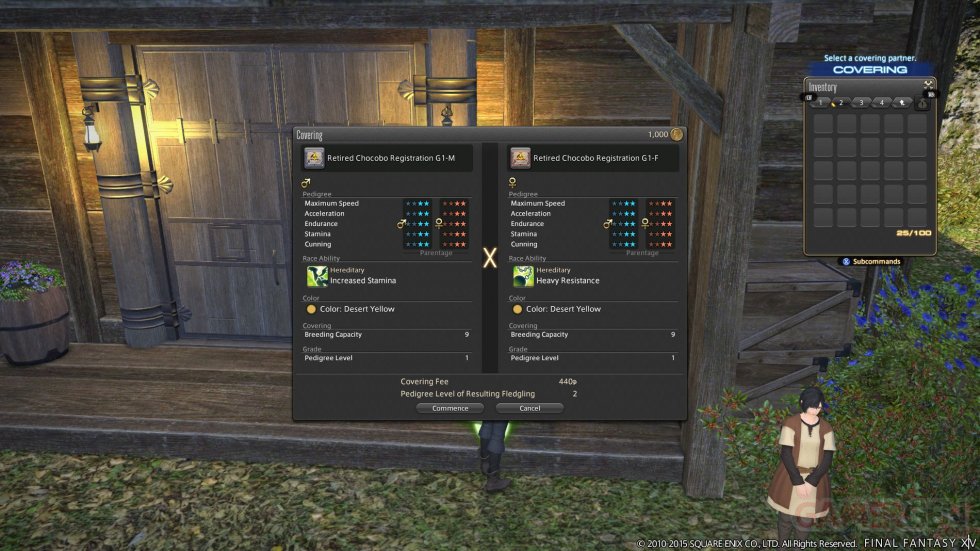 Final-Fantasy-XIV-A-Realm-Reborn_19-02-2015_screenshot (8)