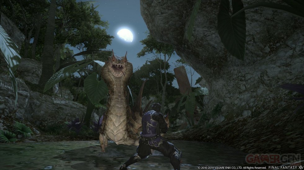 Final-Fantasy-XIV-A-Realm-Reborn-Nouvelles-Classes_14-06-2014_screenshot (10)