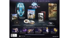 Final Fantasy XIV collector 27.01.2014  (1)