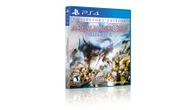 Final Fantasy XIV collector 27.01.2014  (5)