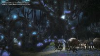 Final Fantasy XIV FFXIV Dawntrail 21 07 01 2024