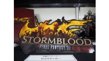 Final-Fantasy-XIV-FFXIV-Stormblood-collector-03-24-12-2016