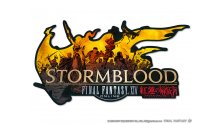 Final-Fantasy-XIV-FFXIV-Stormblood-collector-04-27-01-2017