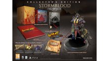 Final-Fantasy-XIV-FFXIV-Stormblood-collector-06-27-01-2017