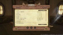 Final-Fantasy-XIV-Soul-Surrender_screenshot (11)