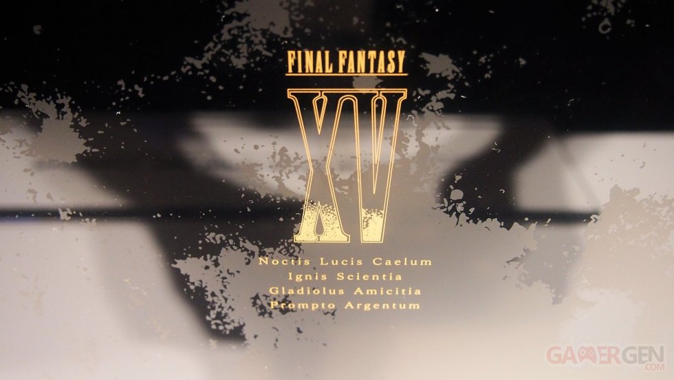 Final Fantasy XV PS4 Slim Collector photos images (5)