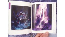 Final Fantasy XX-2 HD Remaster Edition Limitée déballage unboxing 21.03.13 (10)