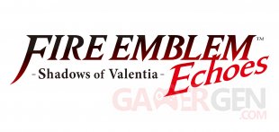 Fire Emblem Echoes Shadows of Valentia 02 19 01 2017
