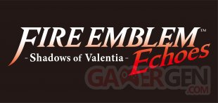 Fire Emblem Echoes Shadows of Valentia 03 19 01 2017
