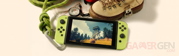 Firewatch Switch Campo Santo