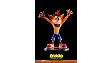 First 4 Figures Crash Bandicoot figurines images (17)