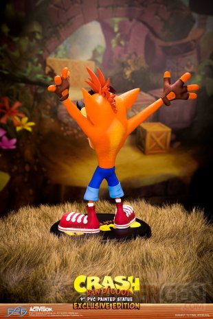 First 4 Figures Crash Bandicoot figurines images (24)