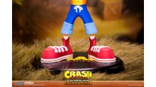 First 4 Figures Crash Bandicoot figurines images (2)