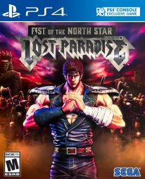 Fist of the North Star Lost Paradise jaquette box art