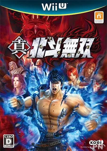 Fist of the North wii