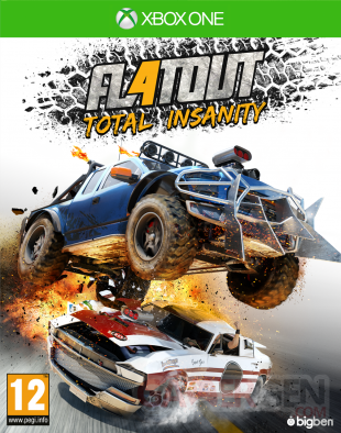 FlatOut 4 Total Insanity cover2