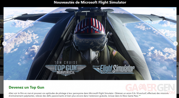 Flight Simulator Top Gun
