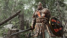 for honor (21)