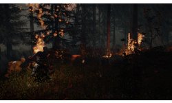 Forest SpreadingFire noscale