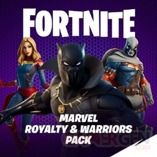 Fortnite Royalty & Warriors Pack
