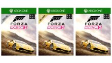 Forza Horizon 2 collectors