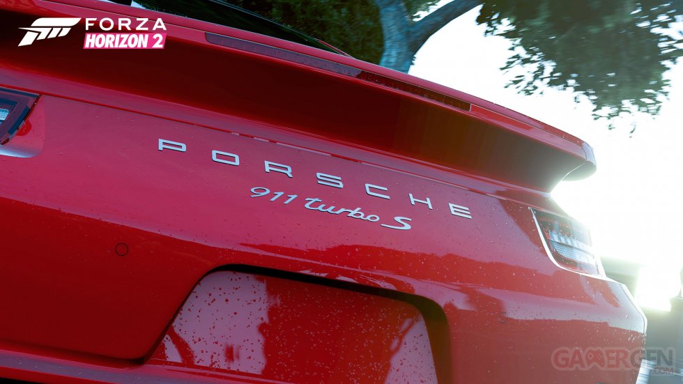 Forza Horizon 2 Porsche image screenshot 5