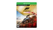 Forza Horizon 4 jaquette images (2)