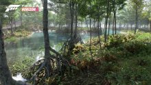 Forza Horizon 5_Biome-Swamp-02-16x9_WM